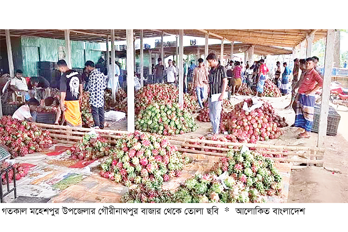 গৌরীনাথপুর বাজারে দিনে কোটি টাকার ড্রাগন বেচাকেনা গৌরীনাথপুর বাজারে দিনে কোটি টাকার ড্রাগন বেচাকেনা