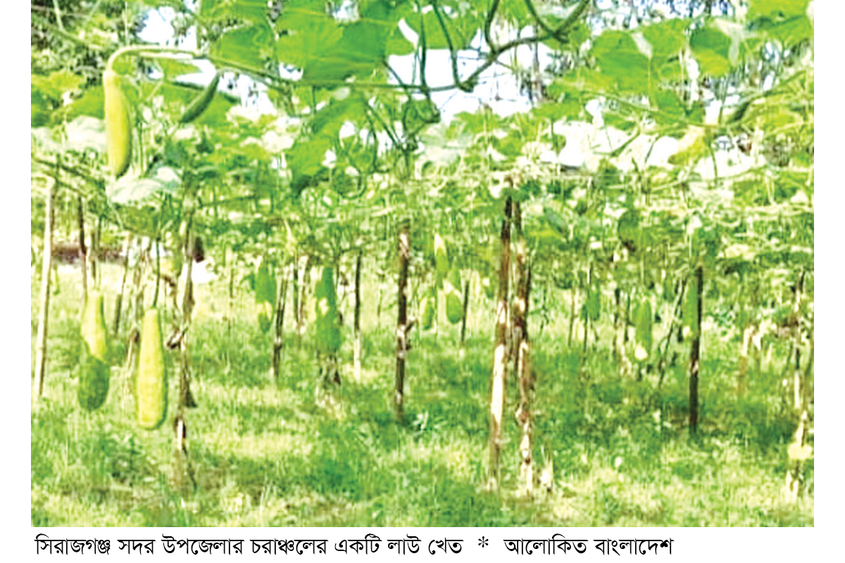 গ্রীষ্মকালীন সবজি চাষে দিনবদল গ্রীষ্মকালীন সবজি চাষে দিনবদল