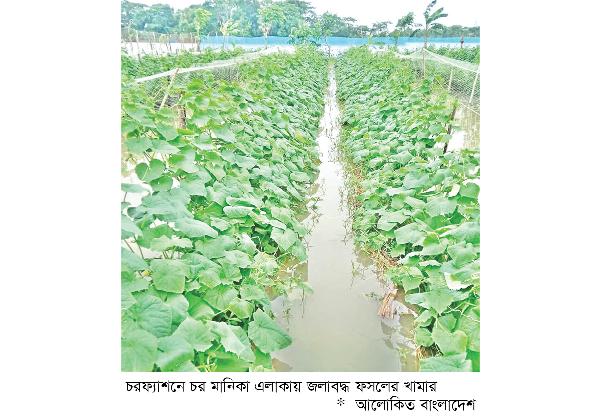 ভারী বর্ষণে চরফ্যাশনের নিম্নাঞ্চল প্লাবিত ভারী বর্ষণে চরফ্যাশনের নিম্নাঞ্চল প্লাবিত