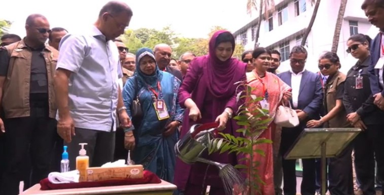 ঢাকা মেডিকেলে বৃক্ষরোপণ কর্মসূচি উদ্বোধন করলেন প্রধানমন্ত্রী ঢাকা মেডিকেলে বৃক্ষরোপণ কর্মসূচি উদ্বোধন করলেন প্রধানমন্ত্রী