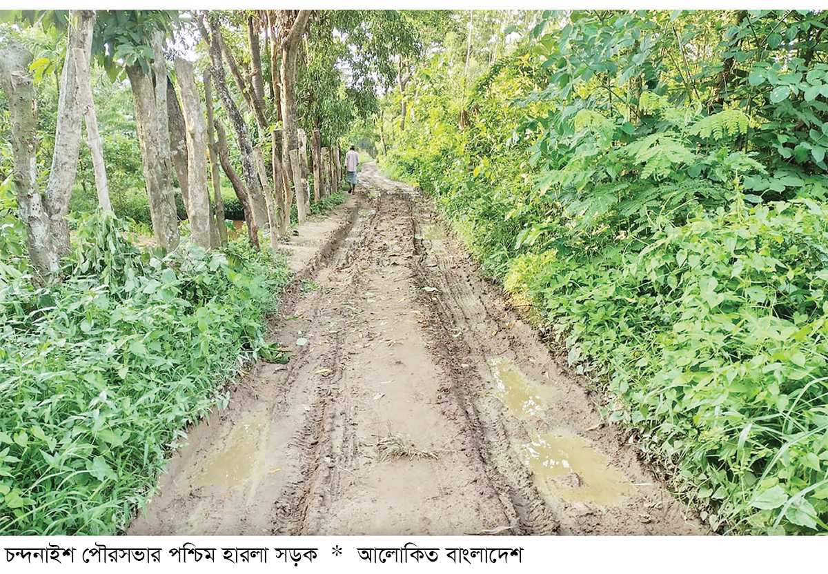 চন্দনাইশে সড়কের বেহাল দশা চন্দনাইশে সড়কের বেহাল দশা