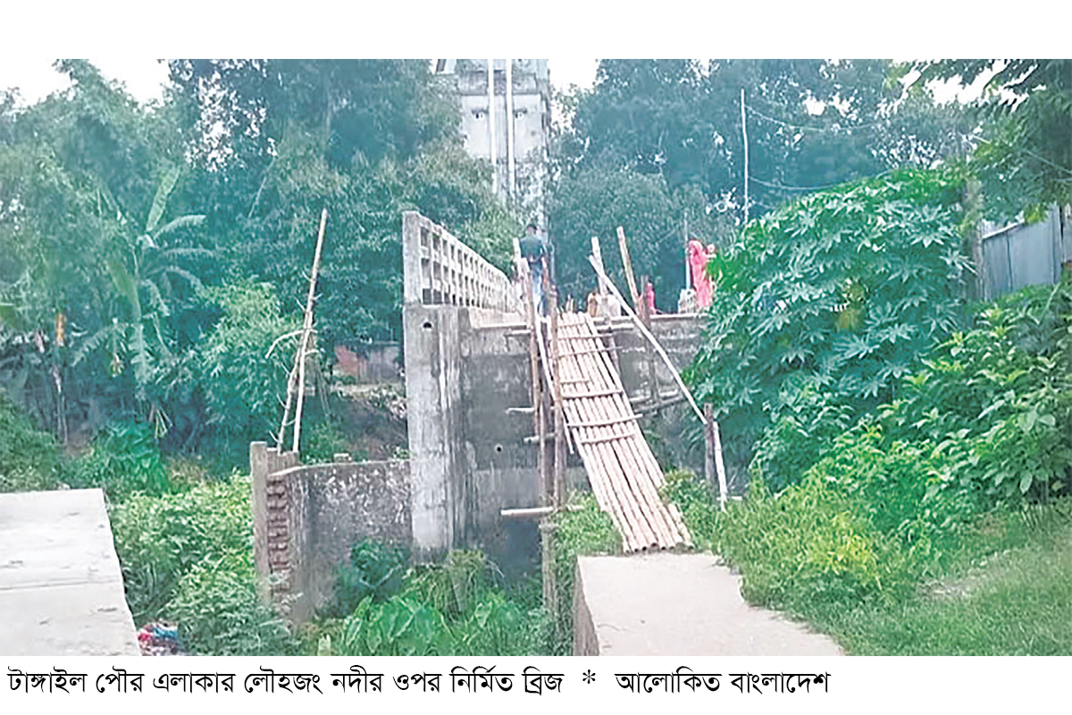 মই দিয়ে উঠতে হয় চার কোটি টাকার ব্রিজে মই দিয়ে উঠতে হয় চার কোটি টাকার ব্রিজে
