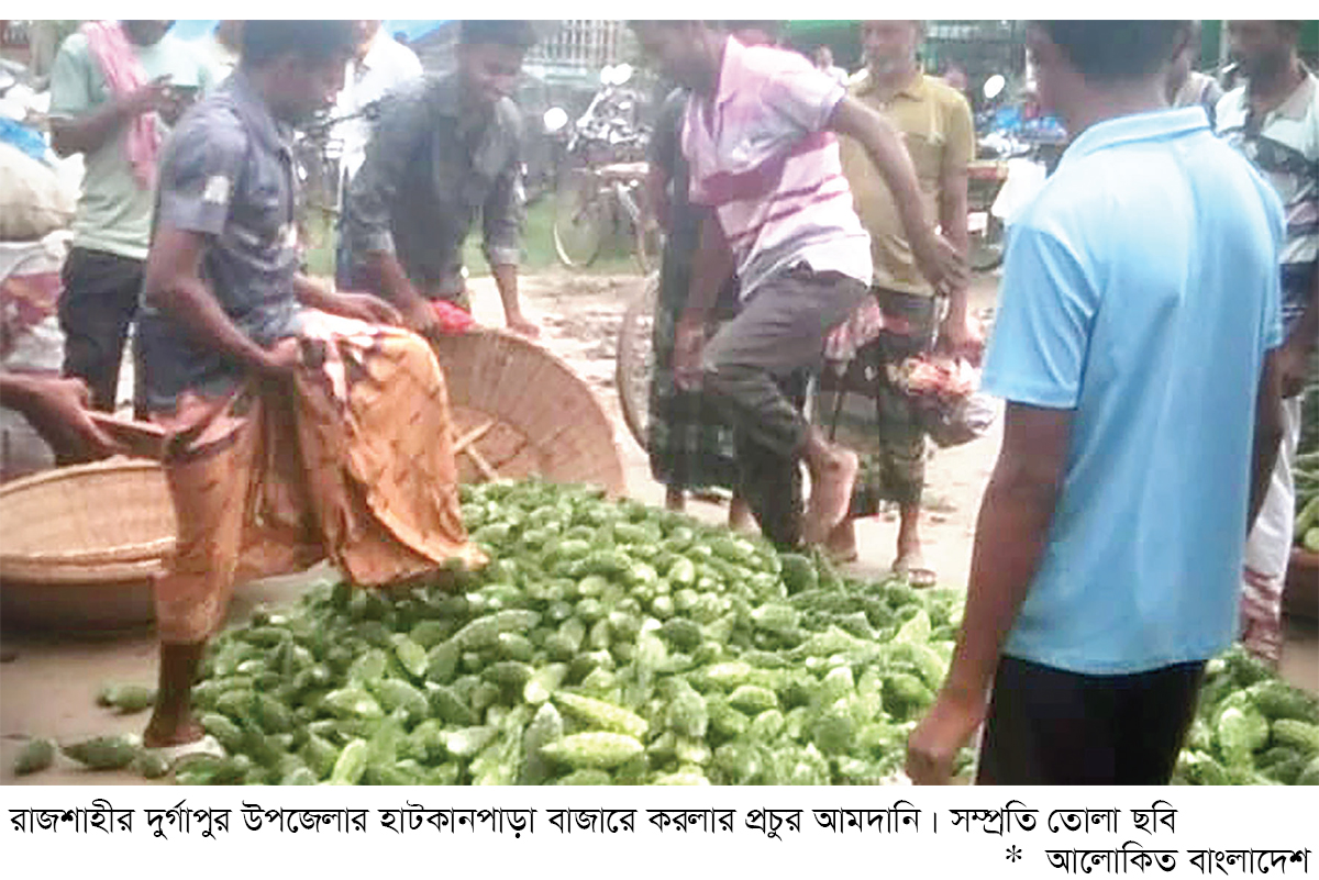 নেই দাম, বাজারেই করলা ফেলে দিচ্ছেন কৃষক নেই দাম, বাজারেই করলা ফেলে দিচ্ছেন কৃষক