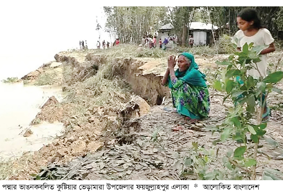 পদ্মায় ভাঙন, হুমকিতে নদীরক্ষা বাঁধ ও বসতভিটা পদ্মায় ভাঙন, হুমকিতে নদীরক্ষা বাঁধ ও বসতভিটা