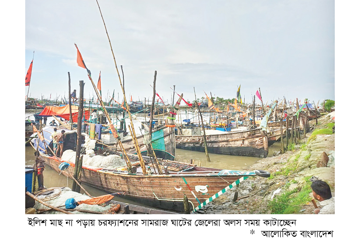 ভরা মৌসুমে মিলছে না ইলিশ ভরা মৌসুমে মিলছে না ইলিশ