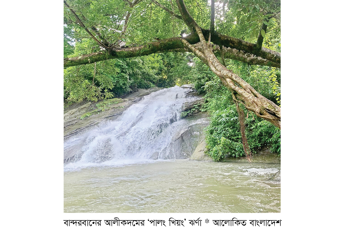 পর্যটকদের দৃষ্টি কাড়ছে আলীকদমের ‘পালং খিয়ং’ ঝর্ণা পর্যটকদের দৃষ্টি কাড়ছে আলীকদমের ‘পালং খিয়ং’ ঝর্ণা