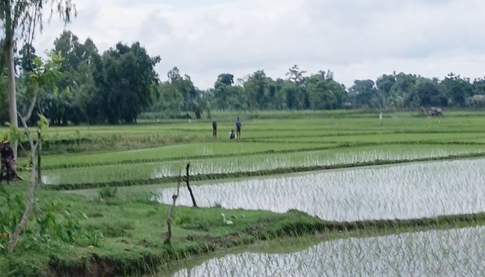 সীমান্তে অবৈধ স্থাপনা নির্মাণের চেষ্টা ব্যর্থ, সতর্ক অবস্থানে বিজিবি সীমান্তে অবৈধ স্থাপনা নির্মাণের চেষ্টা ব্যর্থ, সতর্ক অবস্থানে বিজিবি