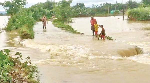 বন্যা বন্যা