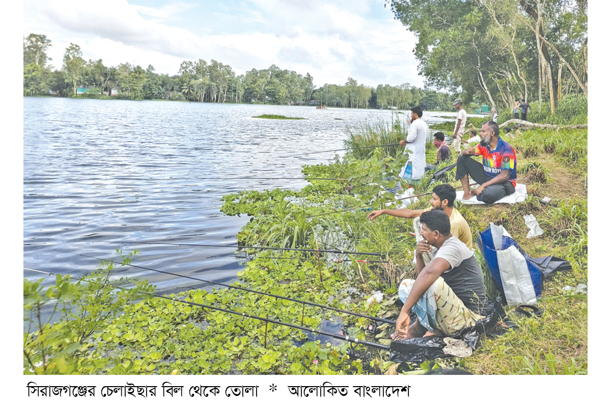 সিরাজগঞ্জে ছিপ দিয়ে মাছ ধরার হিড়িক সিরাজগঞ্জে ছিপ দিয়ে মাছ ধরার হিড়িক