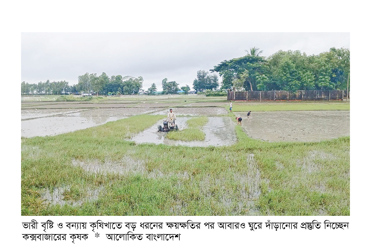 কক্সবাজারে বন্যার ক্ষতি কাটিয়ে কৃষকদের ঘুরে দাঁড়ানোর লড়াই কক্সবাজারে বন্যার ক্ষতি কাটিয়ে কৃষকদের ঘুরে দাঁড়ানোর লড়াই