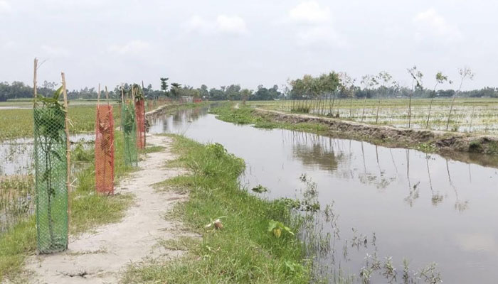 নির্ধারিত সময়ে শেষ হয়নি কাজ, কোটি টাকা ফেরত দিলেন ইউএনও নির্ধারিত সময়ে শেষ হয়নি কাজ, কোটি টাকা ফেরত দিলেন ইউএনও