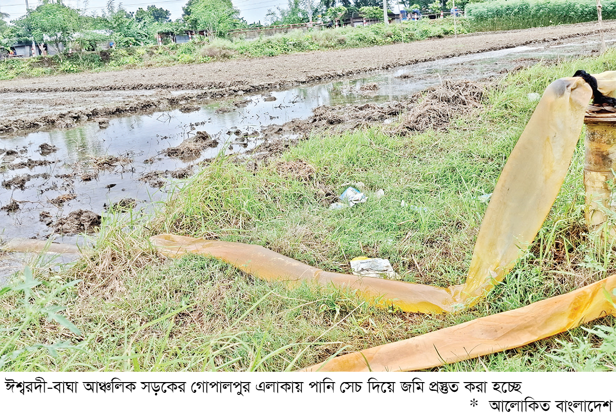 শ্রমিক সংকটে আমনের চারা রোপণ নিয়ে শঙ্কা শ্রমিক সংকটে আমনের চারা রোপণ নিয়ে শঙ্কা