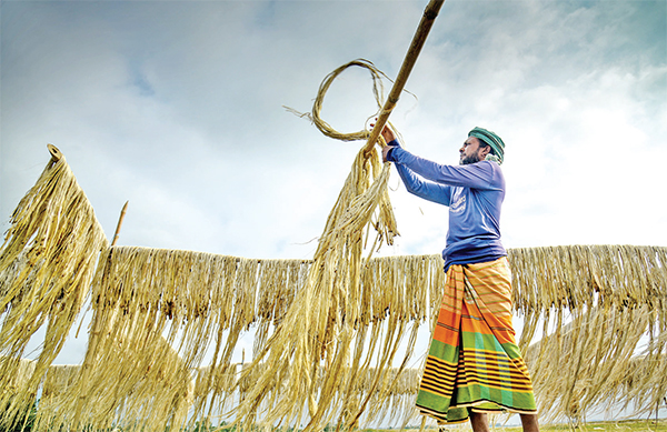 সোনালী আঁশ সোনালী আঁশ