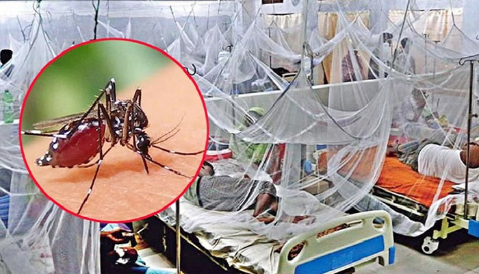 ২৪ ঘণ্টায় ডেঙ্গুতে আরও ৩ জনের মৃত্যু ২৪ ঘণ্টায় ডেঙ্গুতে আরও ৩ জনের মৃত্যু
