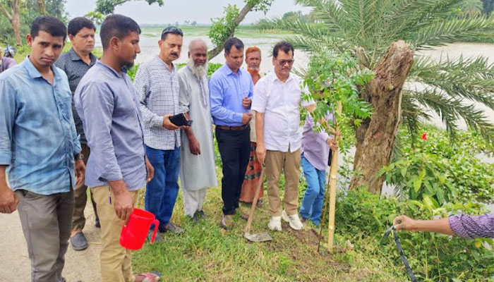 সাতক্ষীরায় বৃক্ষরোপণ কর্মসূচির উদ্বোধন করলেন জেলা পরিষদ প্রশাসক হাবিব সাতক্ষীরায় বৃক্ষরোপণ কর্মসূচির উদ্বোধন করলেন জেলা পরিষদ প্রশাসক হাবিব