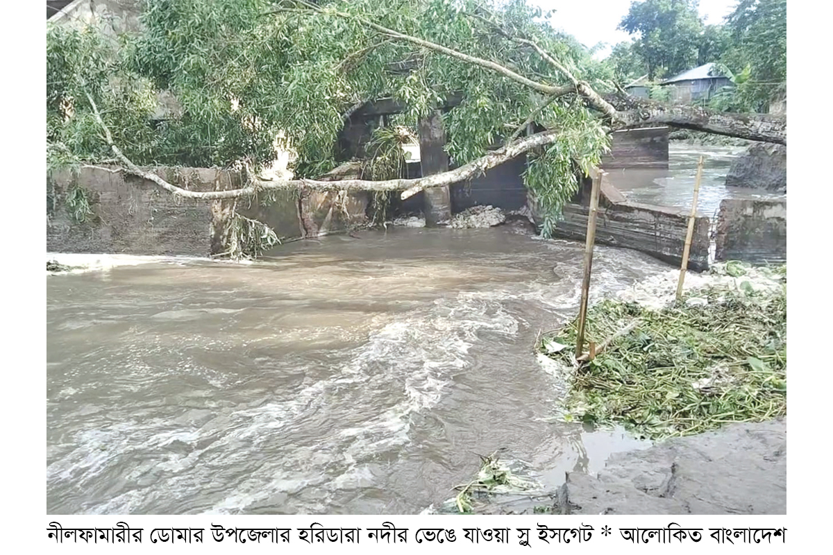 পানির চাপে ভেঙে গেছে স্লুইসগেট ঝুঁকিতে কৃষিজমি ও বসতবাড়ি পানির চাপে ভেঙে গেছে স্লুইসগেট ঝুঁকিতে কৃষিজমি ও বসতবাড়ি