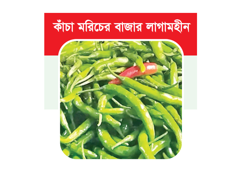 খেত থেকে ভোক্তা পর্যায়ে কেজিতে বাড়ছে ২৫০-৩০০ টাকা খেত থেকে ভোক্তা পর্যায়ে কেজিতে বাড়ছে ২৫০-৩০০ টাকা
