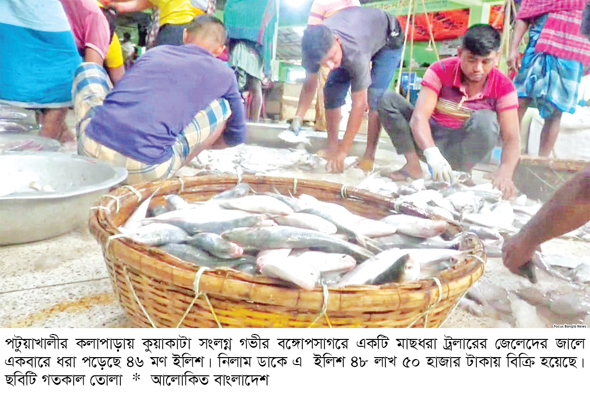 এক জালেই ধরা পড়ল সাড়ে ৪৮ লাখ টাকার ইলিশ এক জালেই ধরা পড়ল সাড়ে ৪৮ লাখ টাকার ইলিশ