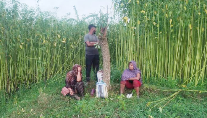 চুয়াডাঙ্গা সীমান্তে বিএসএফের পুশ-ইন চেষ্টা, প্রতিহত করল বিজিবি চুয়াডাঙ্গা সীমান্তে বিএসএফের পুশ-ইন চেষ্টা, প্রতিহত করল বিজিবি