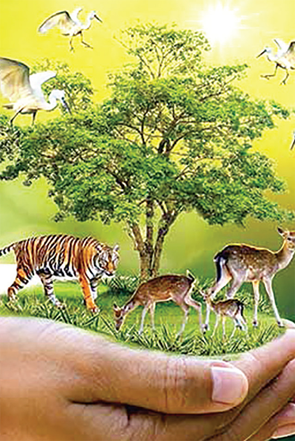 প্রাণীর সুরক্ষায় করণীয় প্রাণীর সুরক্ষায় করণীয়