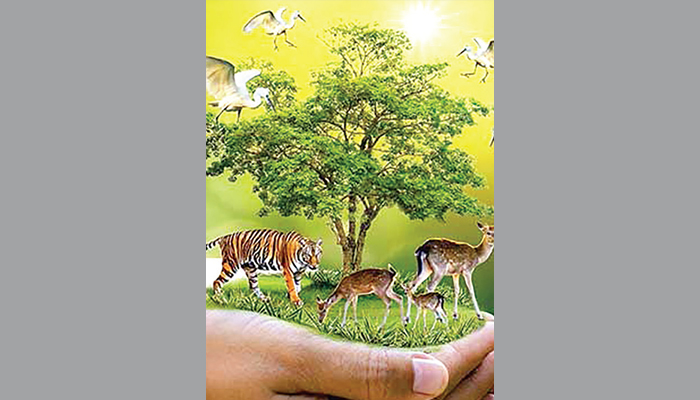 প্রাণীর সুরক্ষায় ইসলাম যা বলে প্রাণীর সুরক্ষায় ইসলাম যা বলে