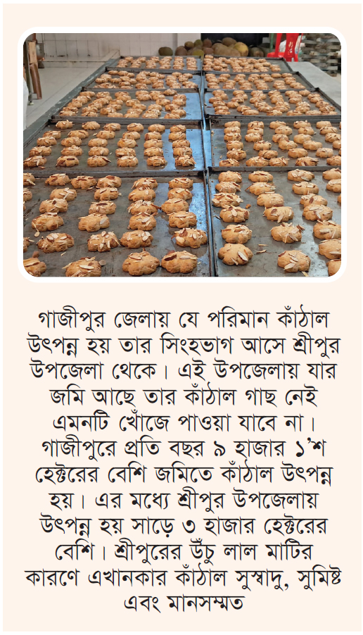 কাঁঠাল থেকে বিস্কুট উদ্ভাবন করলেন শ্রীপুরের উদ্যোক্তা ছাত্তার কাঁঠাল থেকে বিস্কুট উদ্ভাবন করলেন শ্রীপুরের উদ্যোক্তা ছাত্তার