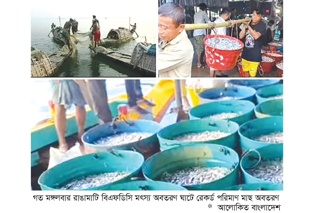 কাপ্তাই হ্রদে মাছ আহরণের প্রথম দিনেই রেকর্ড কাপ্তাই হ্রদে মাছ আহরণের প্রথম দিনেই রেকর্ড