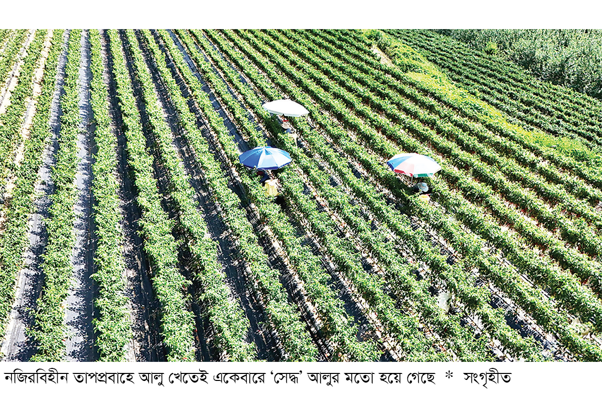 দক্ষিণ কোরিয়ায় নজিরবিহীন তাপপ্রবাহ দক্ষিণ কোরিয়ায় নজিরবিহীন তাপপ্রবাহ