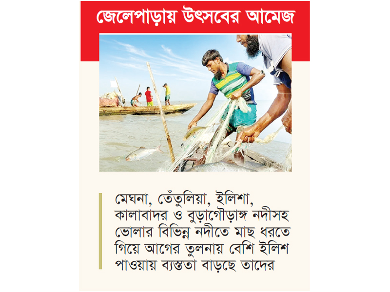 ভোলার নদ-নদীতে ধরা পড়ছে ঝাঁকে ঝাঁকে ইলিশ ভোলার নদ-নদীতে ধরা পড়ছে ঝাঁকে ঝাঁকে ইলিশ