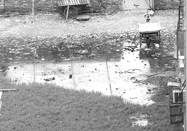 ড্রেনের পানিতে জীবিকা ড্রেনের পানিতে জীবিকা
