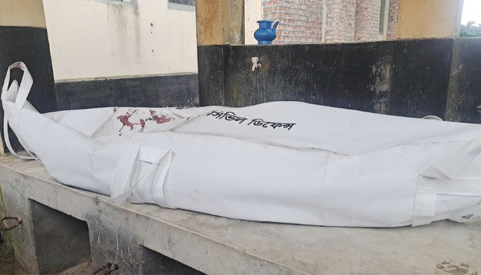 রাজবাড়ীতে দাঁড়িয়ে থাকা ট্রাকে ধাক্কা, চালকের মৃত্যু রাজবাড়ীতে দাঁড়িয়ে থাকা ট্রাকে ধাক্কা, চালকের মৃত্যু