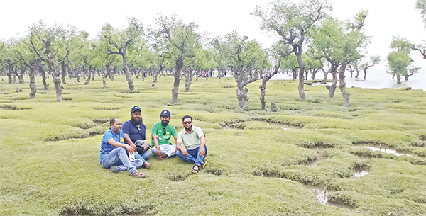 দক্ষিণের প্রাকৃতিক সৌন্দর্য দক্ষিণের প্রাকৃতিক সৌন্দর্য