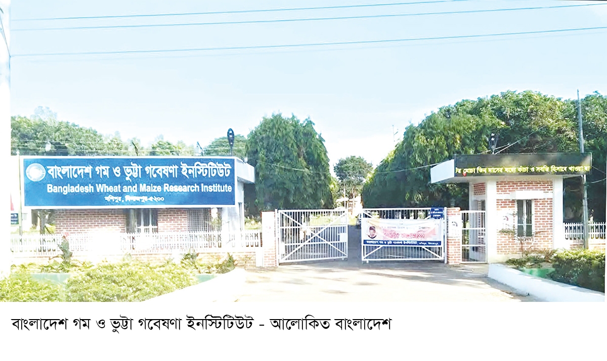 টেকসই খাদ্য ও পুষ্টি নিরাপত্তায় ভূমিকা রাখছে বিডব্লিউএমআরআই টেকসই খাদ্য ও পুষ্টি নিরাপত্তায় ভূমিকা রাখছে বিডব্লিউএমআরআই