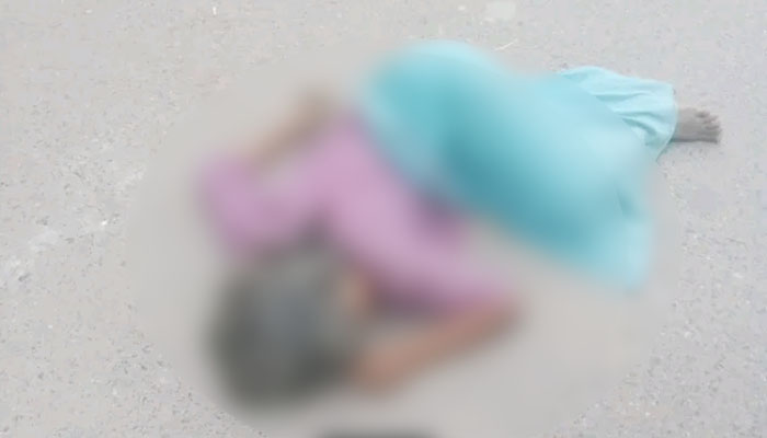 বোয়ালমারীতে মার্কেটের ছাদ থেকে পড়ে নারীর মৃত্যু বোয়ালমারীতে মার্কেটের ছাদ থেকে পড়ে নারীর মৃত্যু