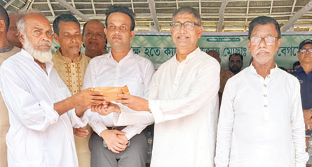মানবিকতার দৃষ্টান্ত স্থাপন মানবিকতার দৃষ্টান্ত স্থাপন