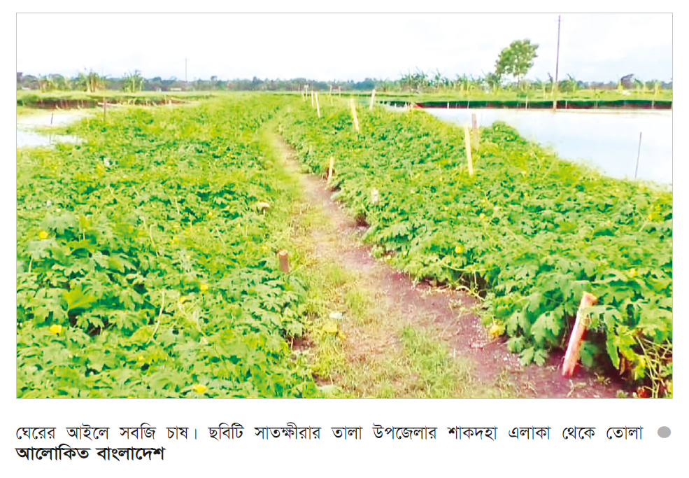 মাছ-সবজির সমন্বিত চাষে চাঙ্গা সাতক্ষীরার অর্থনীতি মাছ-সবজির সমন্বিত চাষে চাঙ্গা সাতক্ষীরার অর্থনীতি