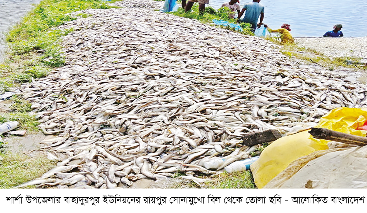 অক্সিজেন সংকটে সোনামুখো বিলে মাছ চাষে নিঃস্ব দুই উদ্যোক্তা অক্সিজেন সংকটে সোনামুখো বিলে মাছ চাষে নিঃস্ব দুই উদ্যোক্তা