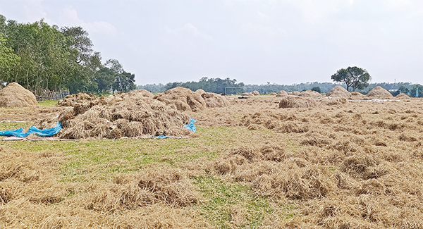 আগরতলা সীমান্তের পথে প্রান্তরে আগরতলা সীমান্তের পথে প্রান্তরে
