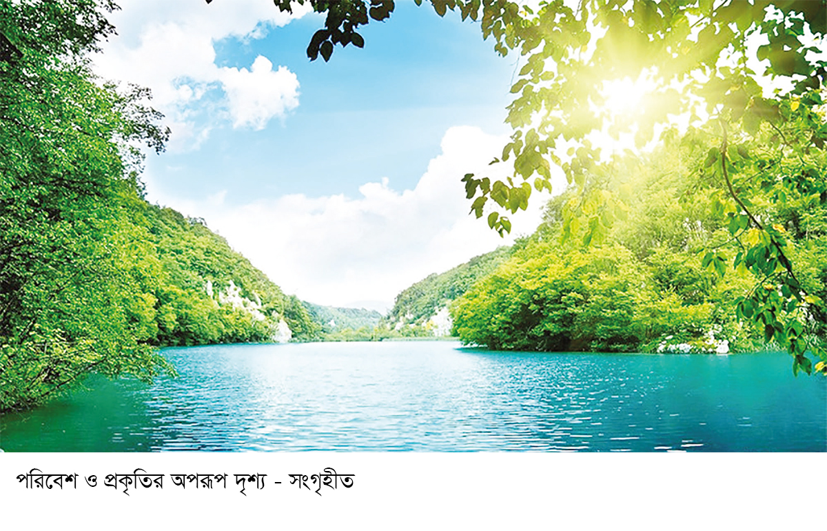 প্রকৃতির সুরক্ষায় ইসলাম প্রকৃতির সুরক্ষায় ইসলাম