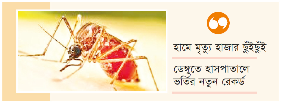 ডেঙ্গু প্রতিরোধে পরিচ্ছন্নতা কার্যক্রম জোরদারের নির্দেশ প্রধানমন্ত্রীর ডেঙ্গু প্রতিরোধে পরিচ্ছন্নতা কার্যক্রম জোরদারের নির্দেশ প্রধানমন্ত্রীর