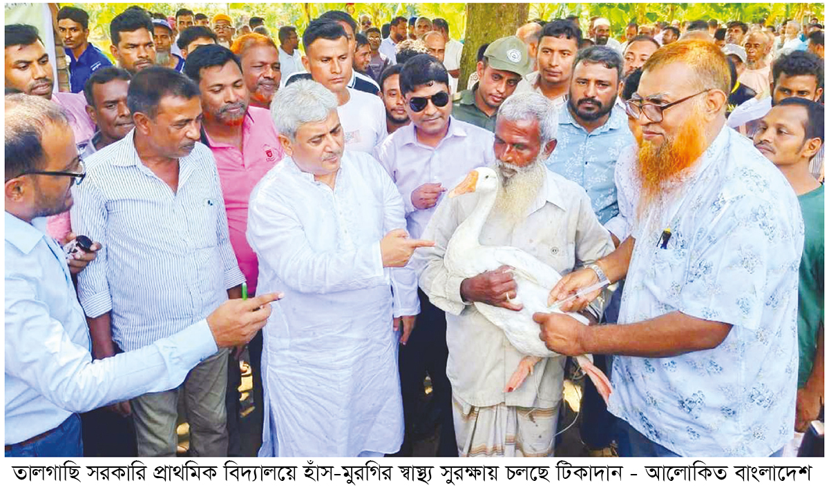 রাজশাহীতে বিনা মূল্যে ৮৩ হাজার ৫০০ পশু-পাখিকে টিকা রাজশাহীতে বিনা মূল্যে ৮৩ হাজার ৫০০ পশু-পাখিকে টিকা