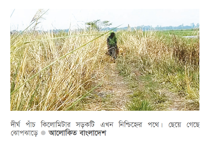 ঝোপঝাড়ে বিলীন সোয়া কোটি টাকার সড়ক ঝোপঝাড়ে বিলীন সোয়া কোটি টাকার সড়ক