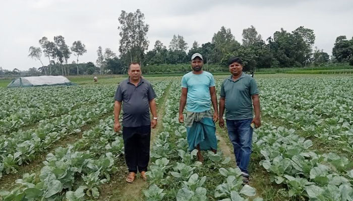 টাঙ্গাইলে আগাম শীতকালীন সবজি চাষে ব্যস্ত কৃষক টাঙ্গাইলে আগাম শীতকালীন সবজি চাষে ব্যস্ত কৃষক