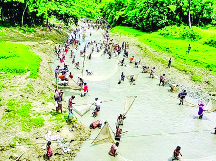 ঐতিহ্যবাহী পলো বাওয়া উৎসব ঐতিহ্যবাহী পলো বাওয়া উৎসব