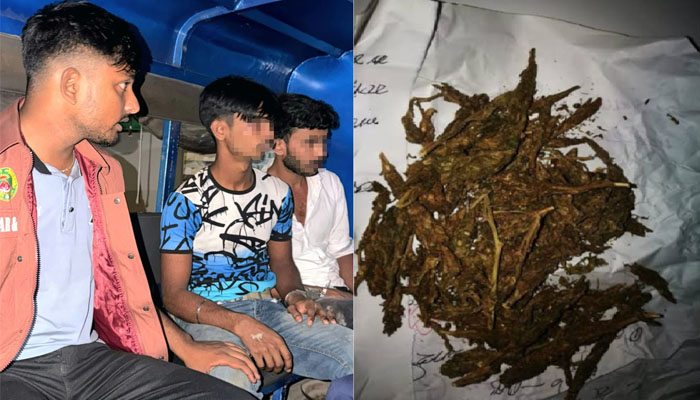 মানিকগঞ্জে আনসার-ভিডিপির অভিযানে গাঁজাসহ আটক ২ মানিকগঞ্জে আনসার-ভিডিপির অভিযানে গাঁজাসহ আটক ২