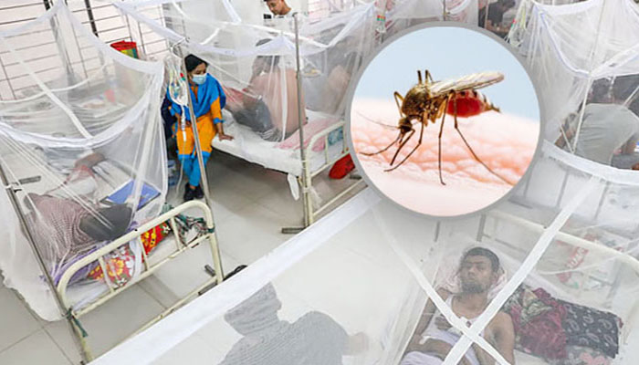 ডেঙ্গুতে একদিনে ২ জনের প্রাণহানি, হাসপাতালে ভর্তি ১২৩২ ডেঙ্গুতে একদিনে ২ জনের প্রাণহানি, হাসপাতালে ভর্তি ১২৩২
