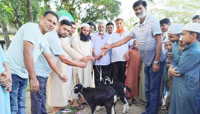দুর্গাপুরে এতিম শিক্ষার্থীদের মাঝে বিএনপির খাসি বিতরণ দুর্গাপুরে এতিম শিক্ষার্থীদের মাঝে বিএনপির খাসি বিতরণ