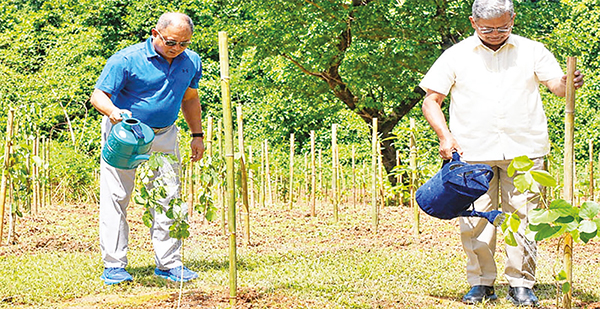 গাছ লাগিয়ে পরিবেশ সুরক্ষায় যুক্ত করতে বিকাশের নতুন উদ্যোগ 'বিকাশ বন' গাছ লাগিয়ে পরিবেশ সুরক্ষায় যুক্ত করতে বিকাশের নতুন উদ্যোগ 'বিকাশ বন'