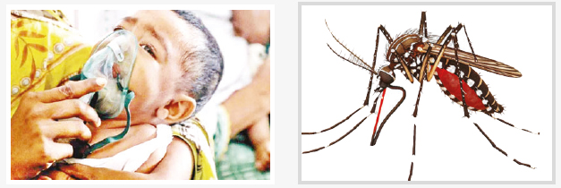২৪ ঘণ্টায় আরও ১৫ মৃত্যু ২৪ ঘণ্টায় আরও ১৫ মৃত্যু