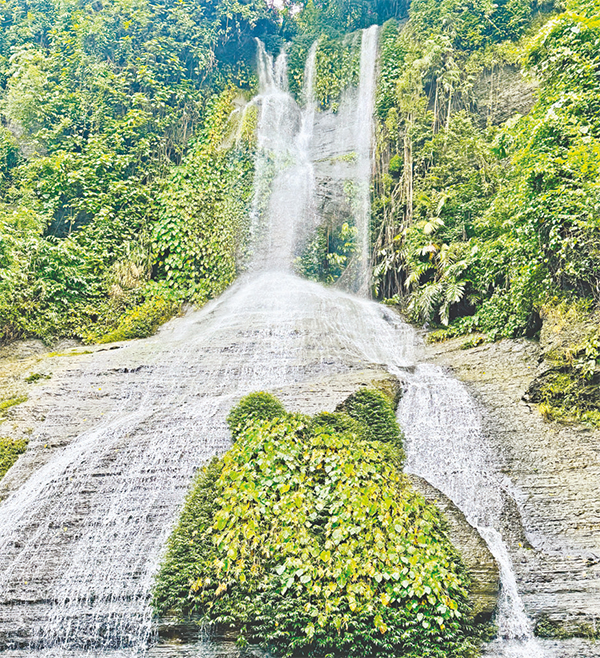 রোমাঞ্চকর নাপিত্তাছড়া ট্রেইল রোমাঞ্চকর নাপিত্তাছড়া ট্রেইল